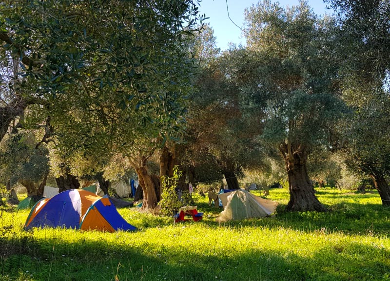 Bed Breakfast Rome Natura Appia